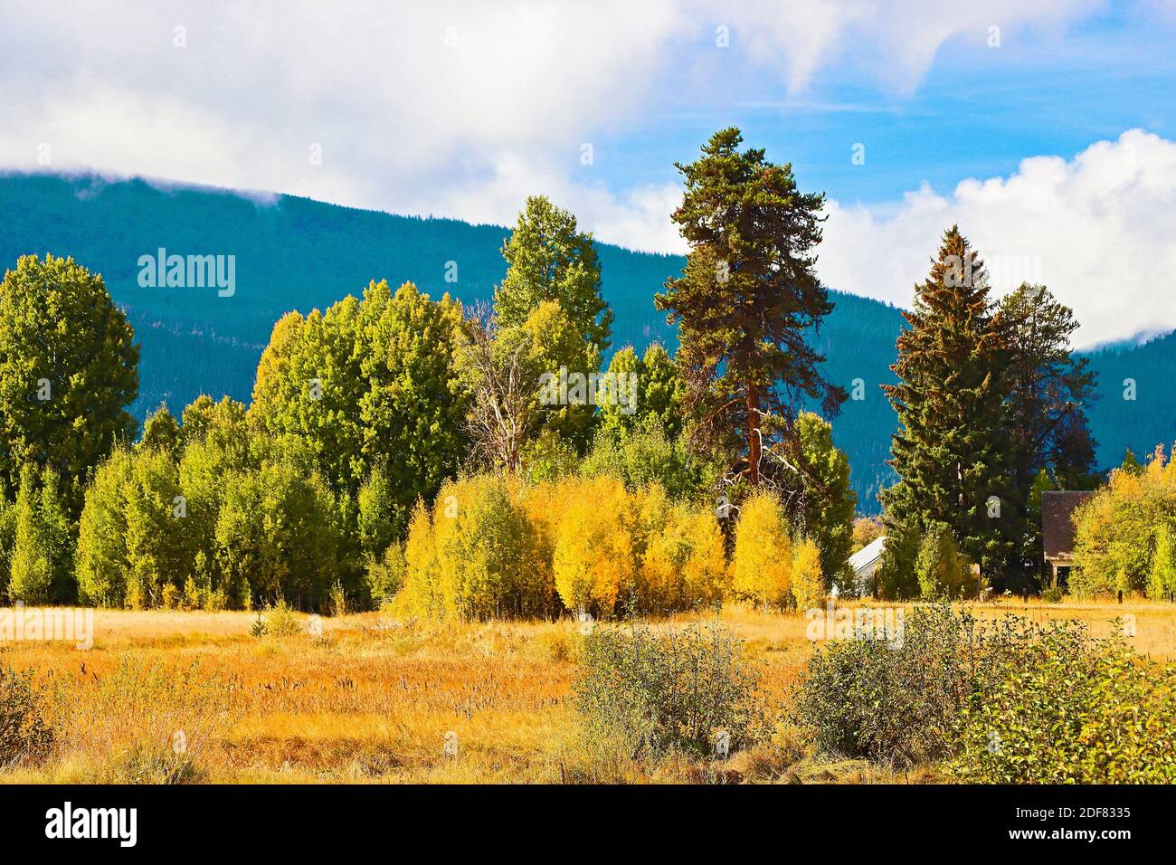 Rural landscape in Klamath County, Oregoon. U. S. A Stock Photo - Alamy