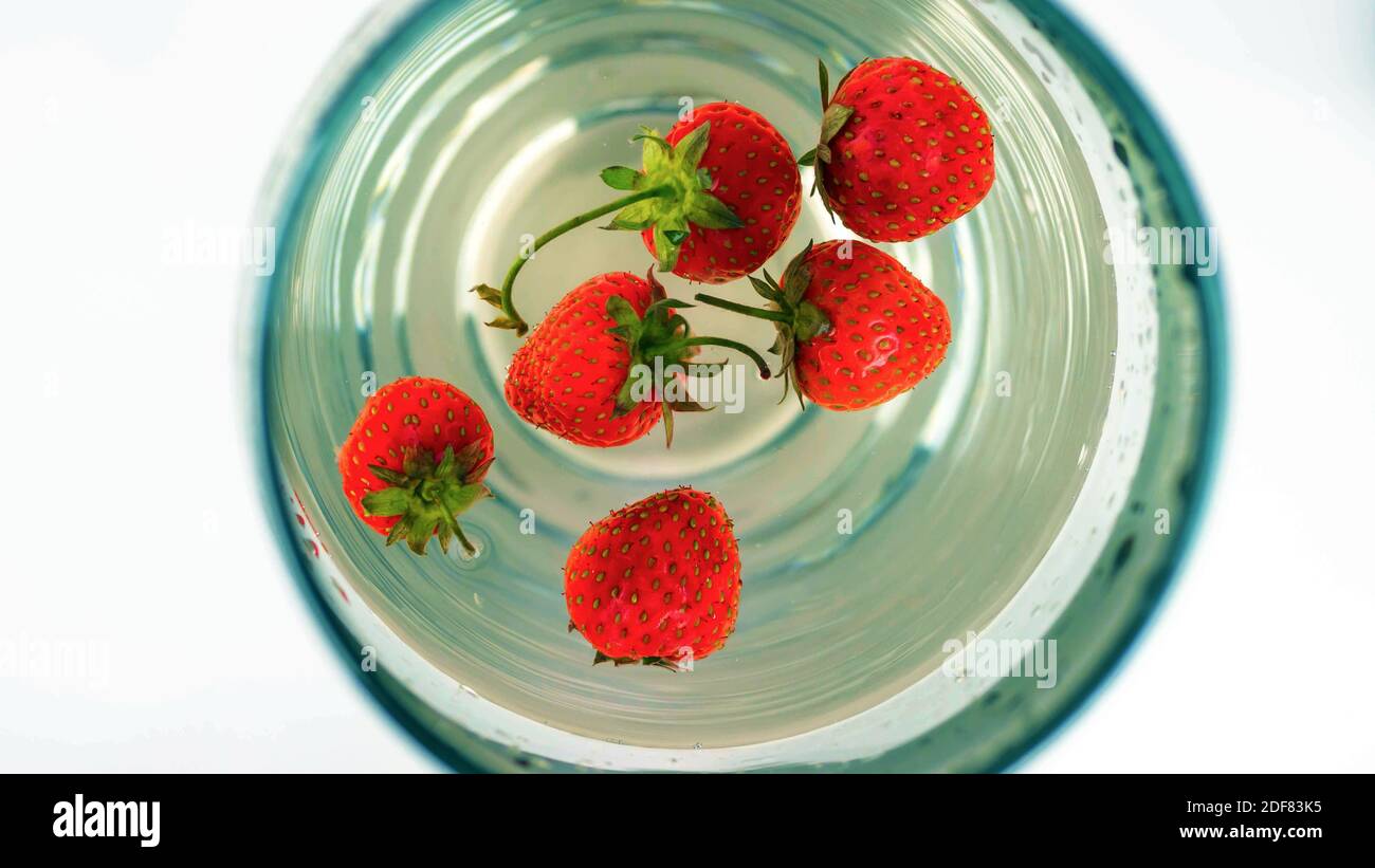 Strawberry closeup,floats in water,wash fruits in water Stock Photo Alamy