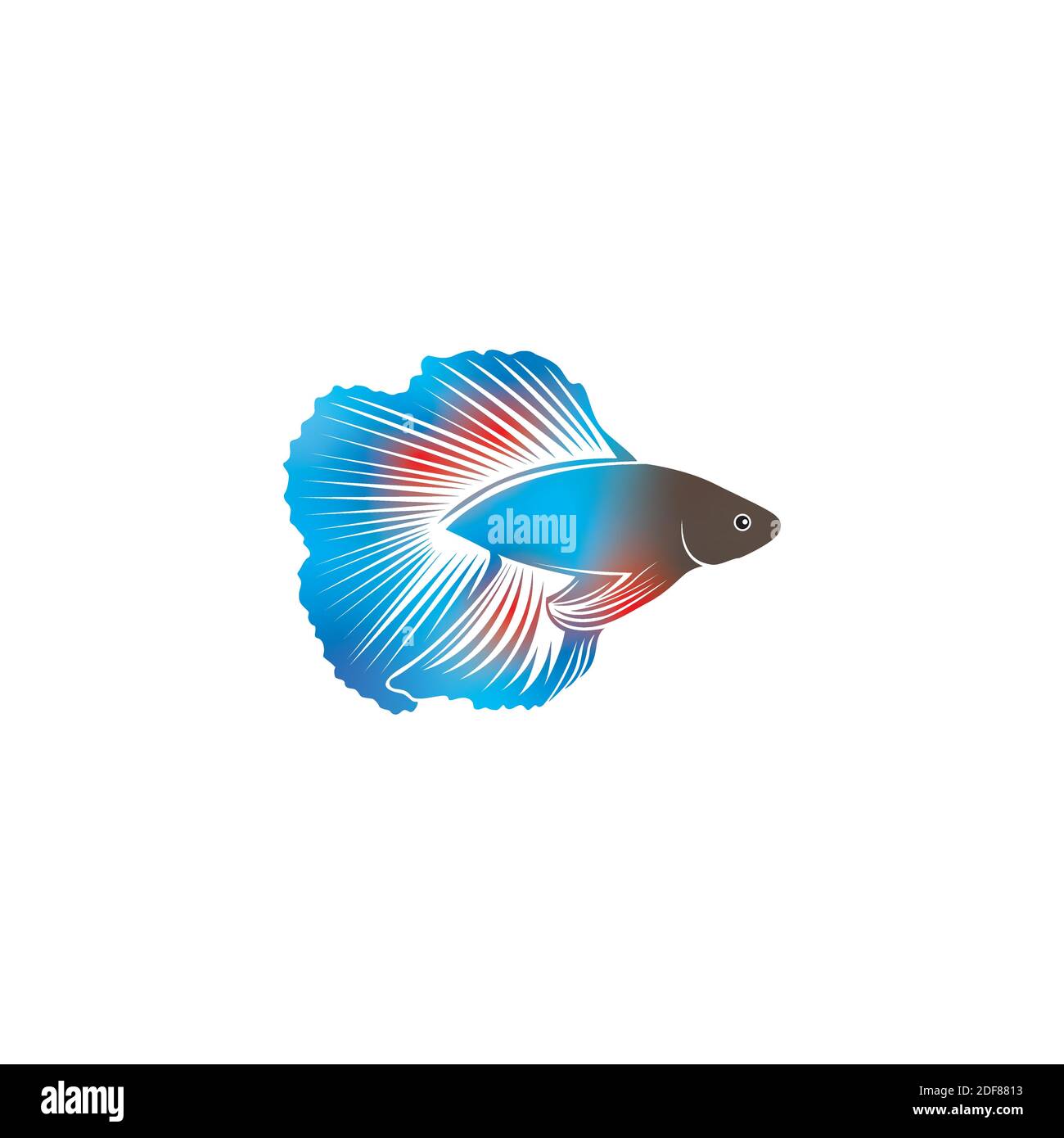 Beta fish  icon vector illustration template Stock Vector