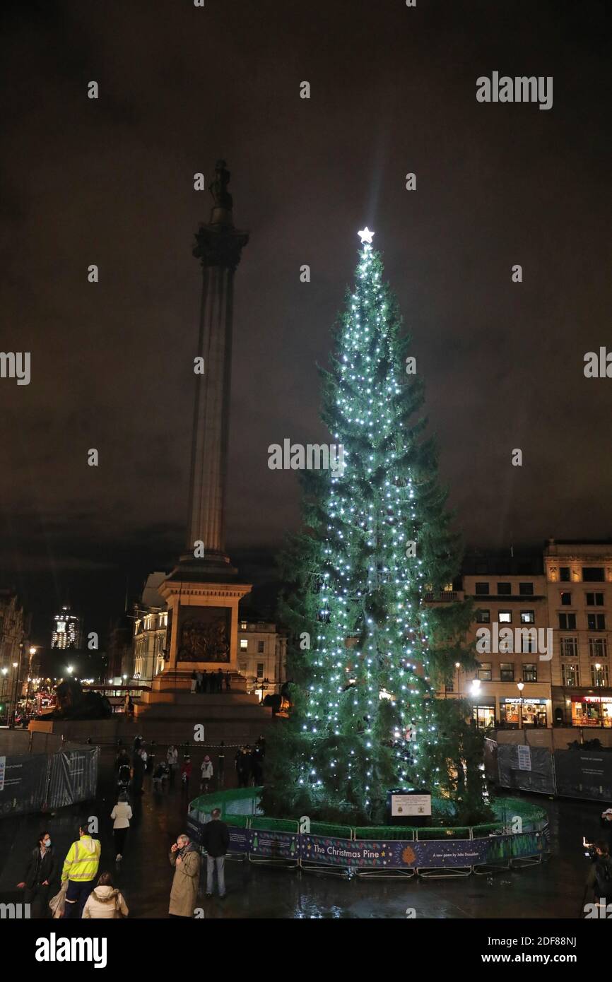 Members of the public view the Christmas Tree in Trafalgar Square
