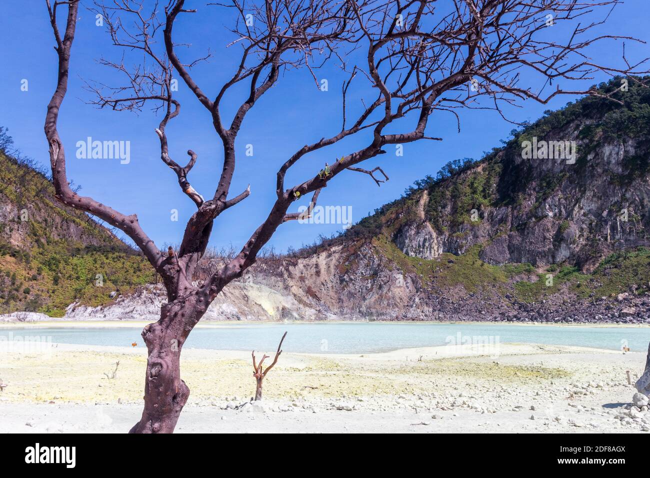 Kawah Putih in Bandung, Indonesia Stock Photo - Alamy