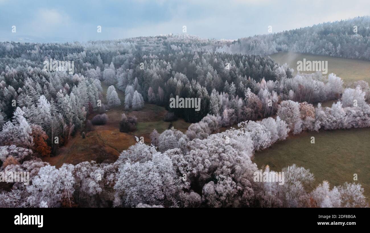 Winter forest landscape view from above.Frosty forest aerial drone view.Idyllic nature scenery from a bird eye view.Top view trees.Holiday freedom tra Stock Photo