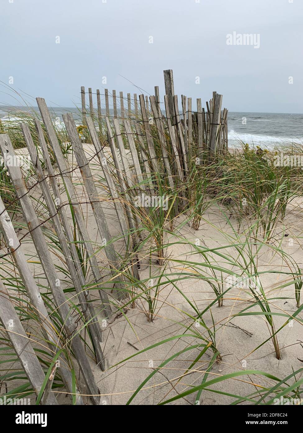 Sand Dunes overlooking the beach Stock Photo - Alamy
