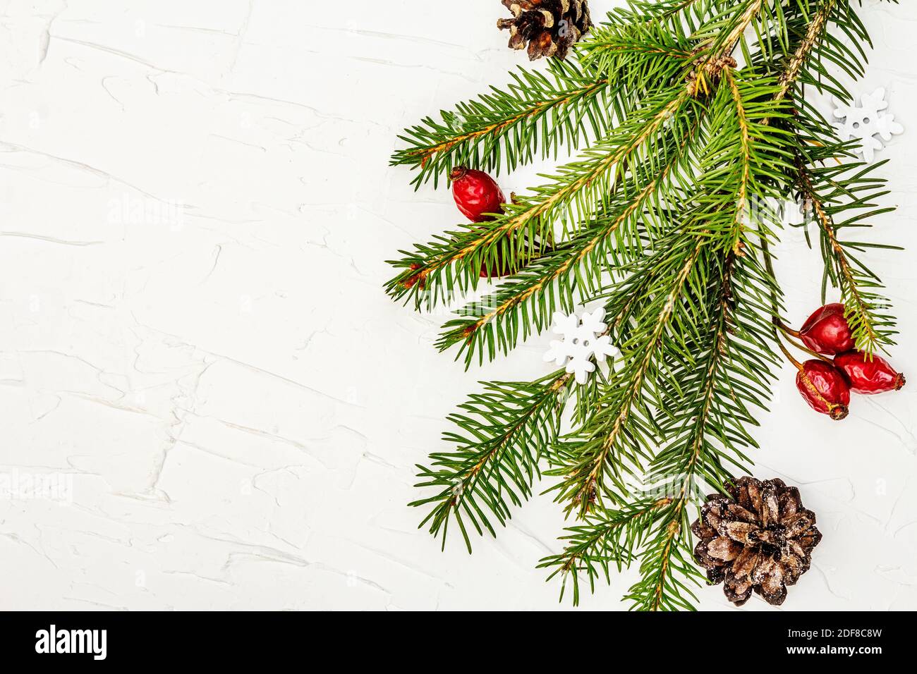 Christmas tree branches with pine cones and rosehip berries on white ...