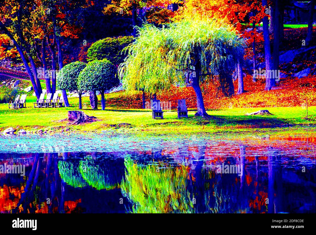 Fantasy Trees at Innisfree Lake in the Fauve Style of painting. Stock Photo