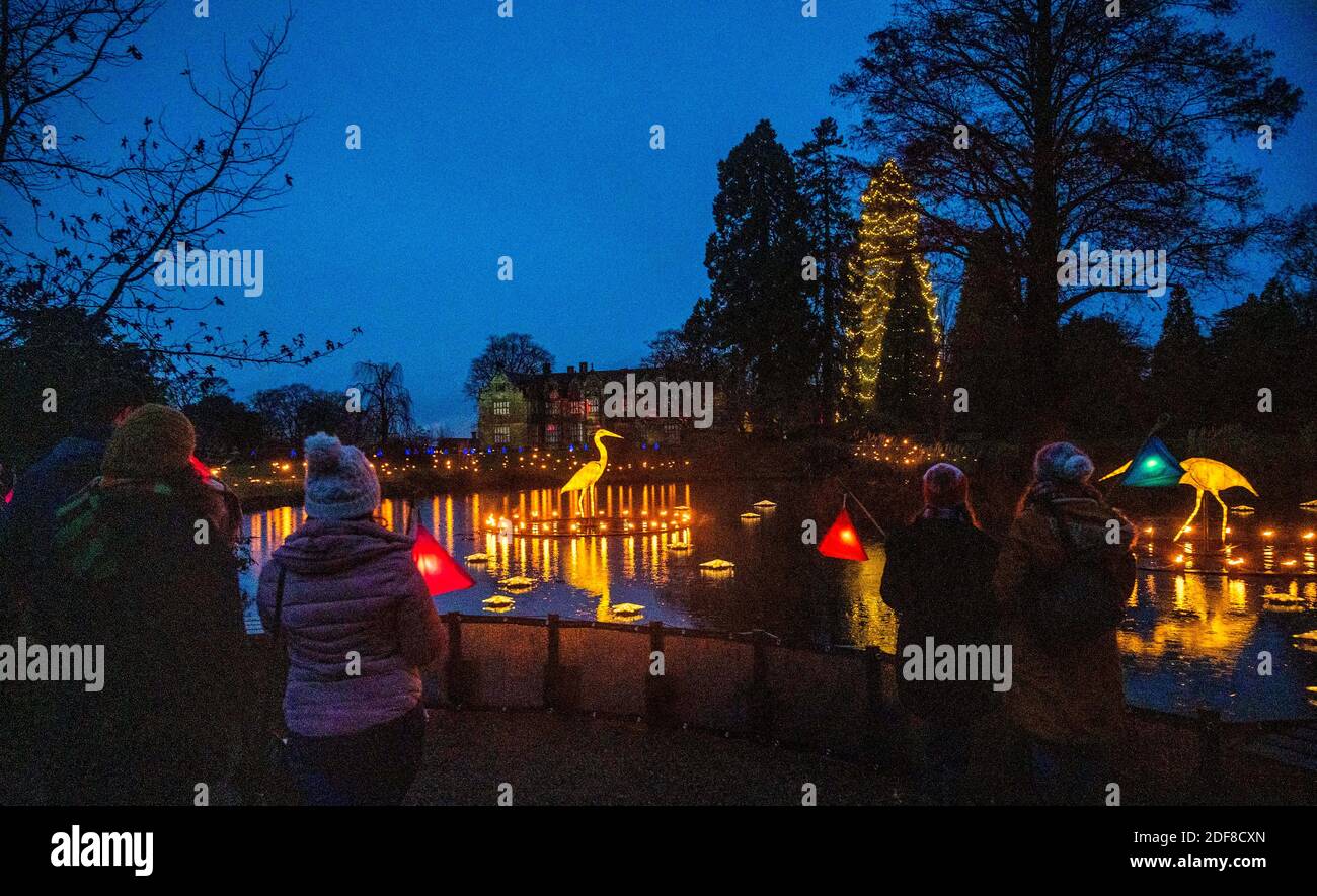 Wakehurst , Haywards Heath UK 3rd December 2020 - Visitors enjoy the opening night of the Glow Wild lantern trail at Wakehurst in Sussex which this year celebrates hidden heroes of the natural world. The highlights include giant floating dandelion seed heads, a fairytale fungi field, and the UK's tallest Christmas tree : Credit Simon Dack / Alamy Live News Stock Photo
