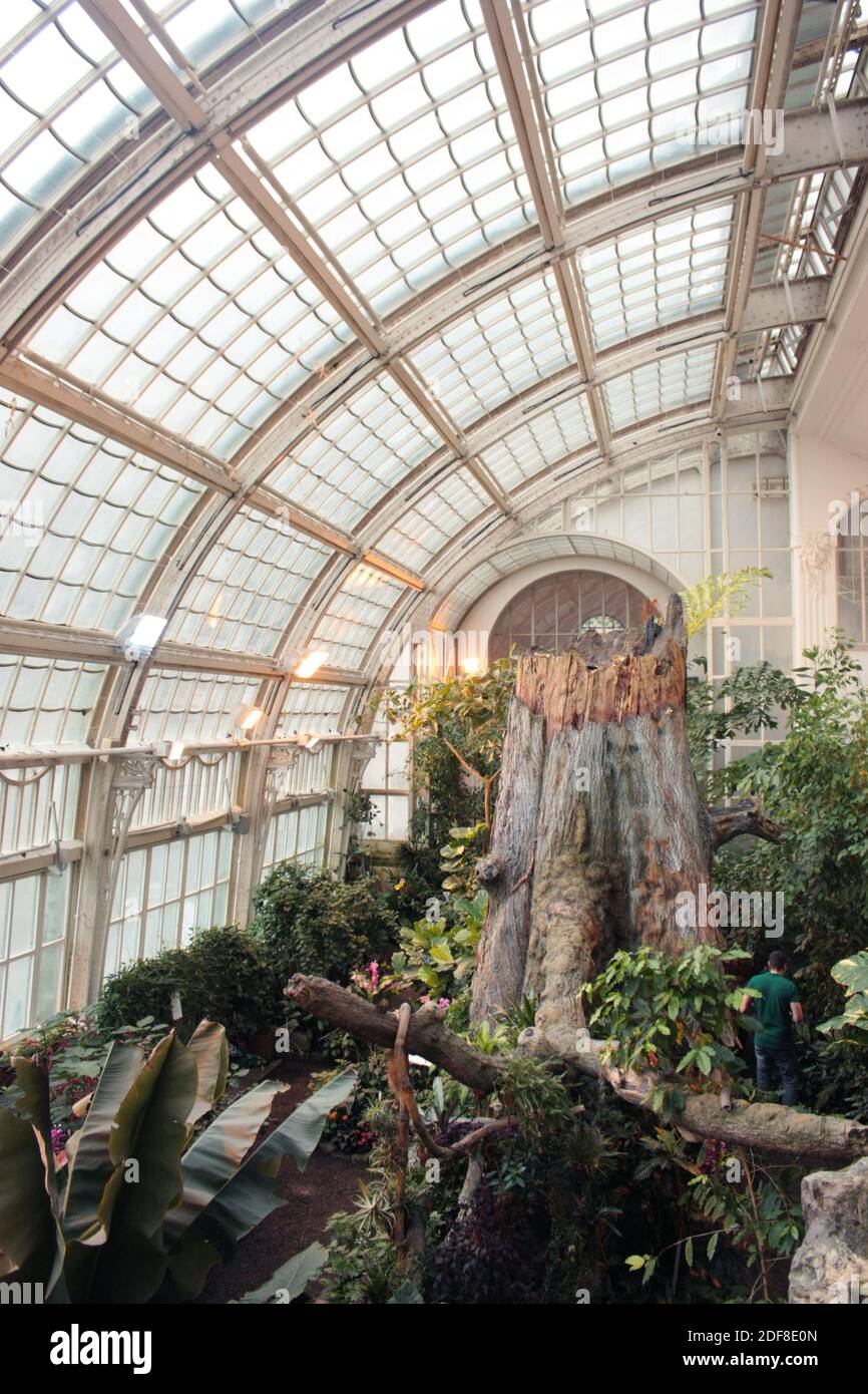 Art Nouveau butterfly house in Vienna with huge tree stump Stock Photo