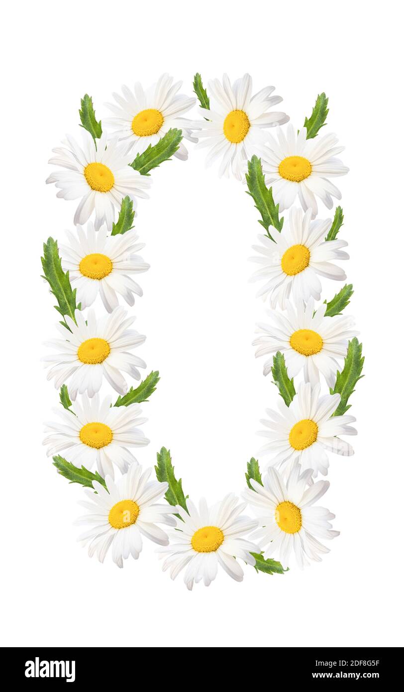 Annual june grass Cut Out Stock Images & Pictures - Alamy