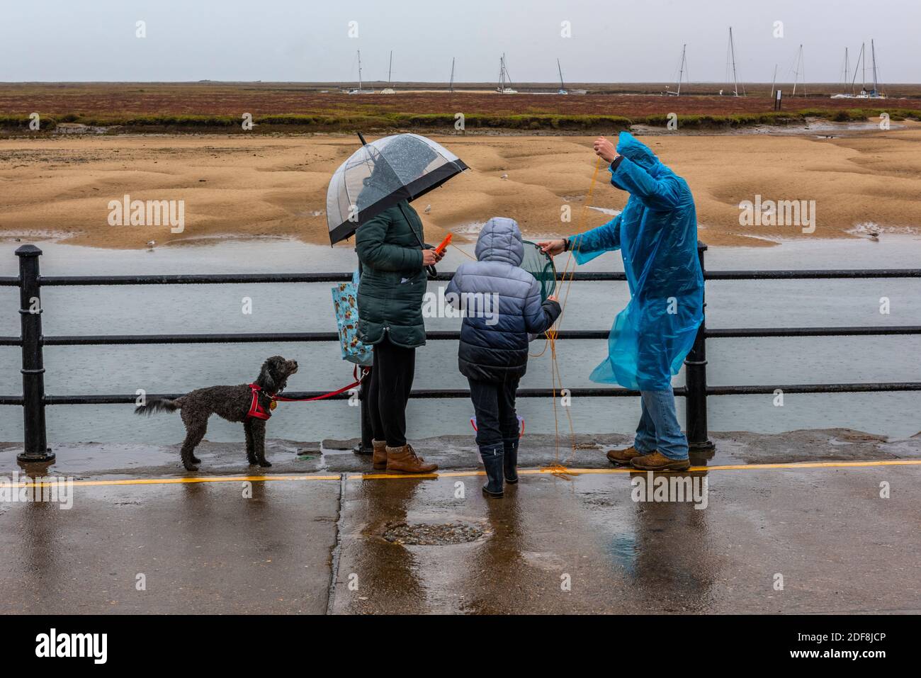 a family crab fishing in the rain with their dog at wells next the sea