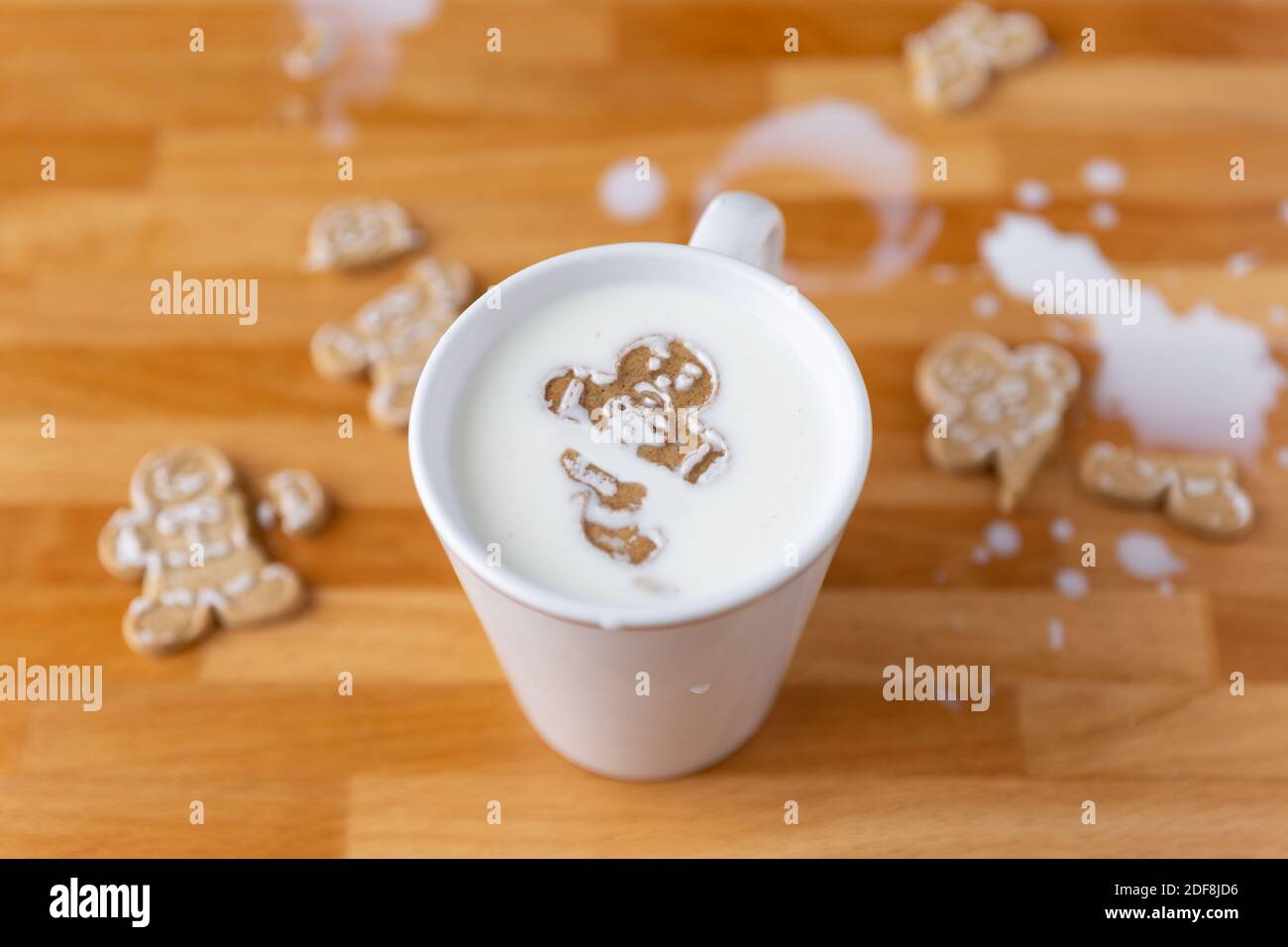 Broken Gingerbread Man Cookie Floating In Mug Of Milk With Broken Cookies And Spilt Milk Stock Photo