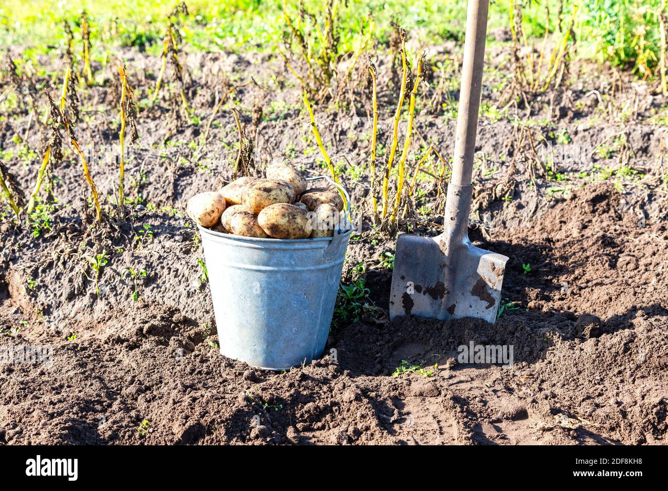 Metal Bucket And Spade High Resolution Stock Photography and Images - Alamy