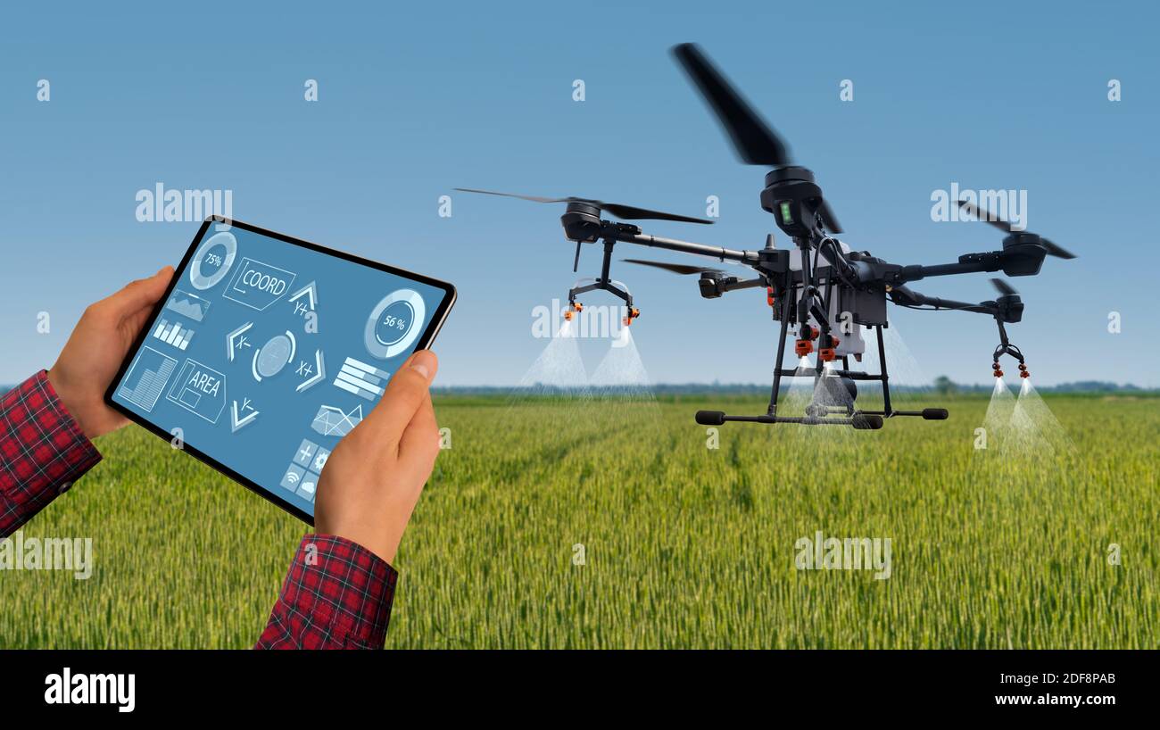 Farmer controls drone with a tablet. Smart farming and precision agriculture  Stock Photo