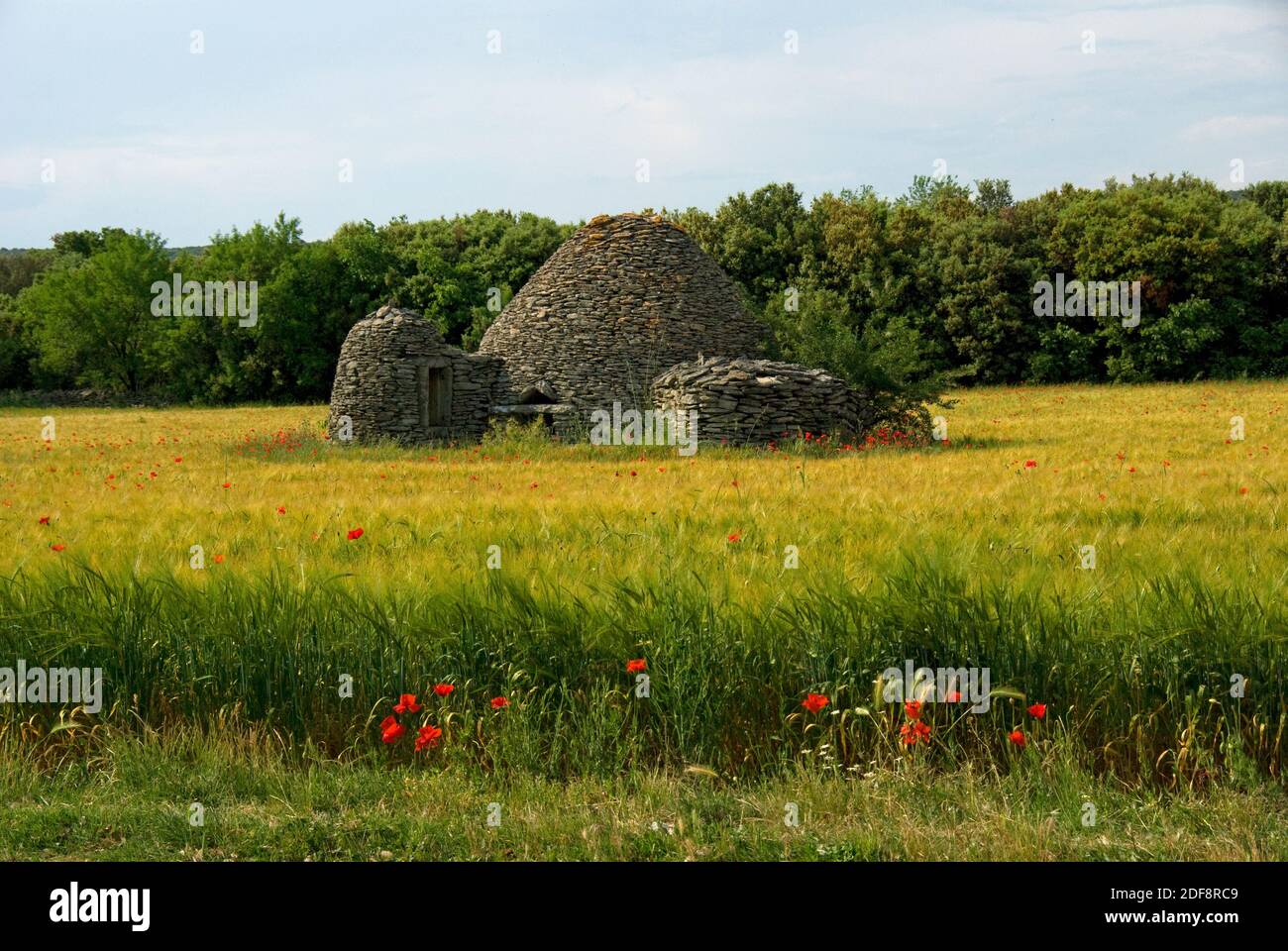 Capitelle in field with poppies near Saint-Quentin-la-Poterie, Gard, France Stock Photo