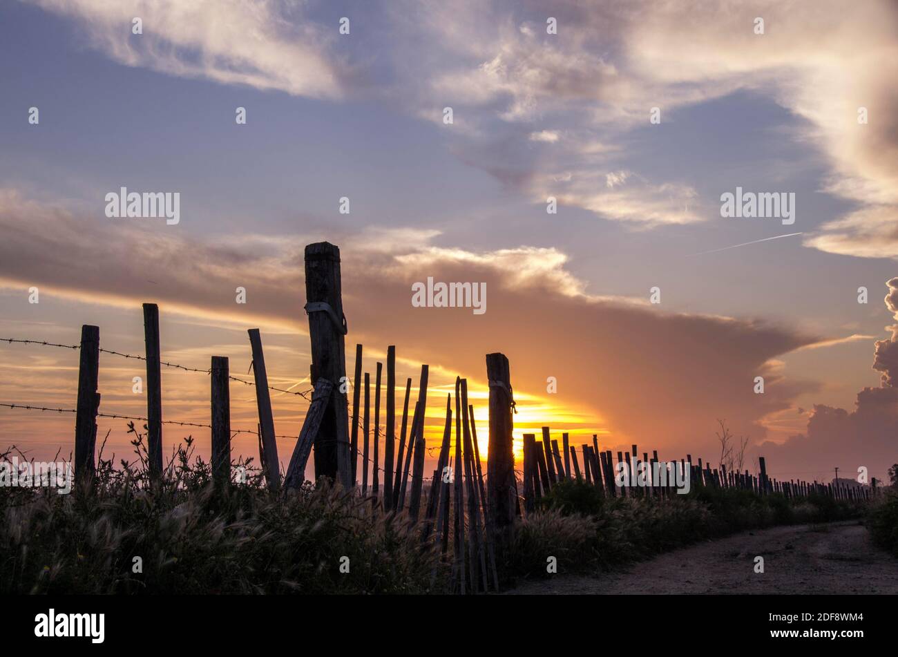 Sunset over the Camargue with silhouetted fences Stock Photo
