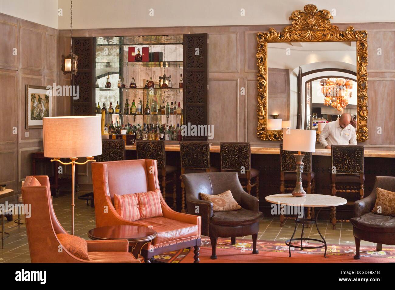 BAR INTERIOR of the recently built ROSEWOOD HOTEL - SAN MIGUEL DE