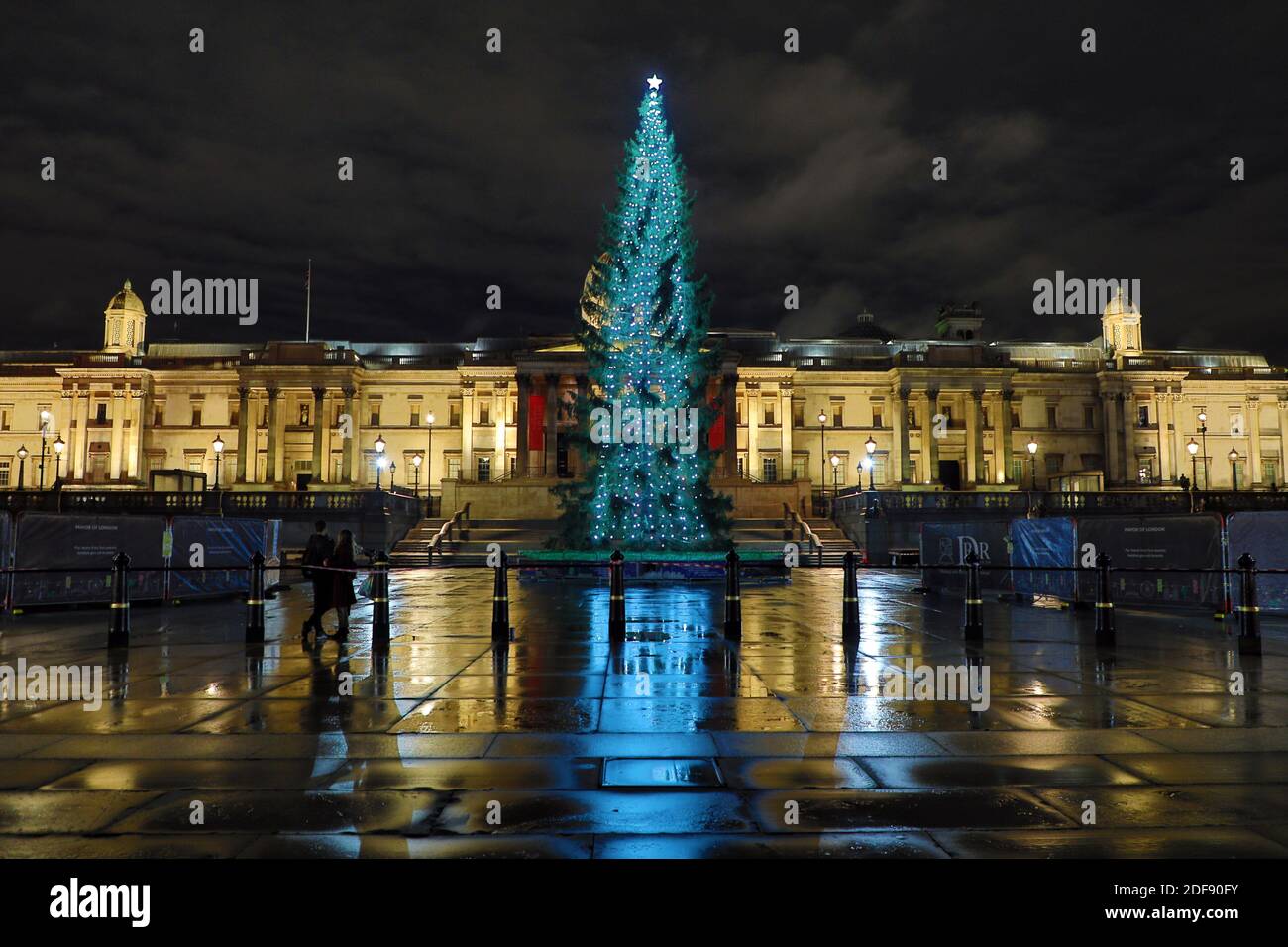 Live on trees hires stock photography and images Alamy