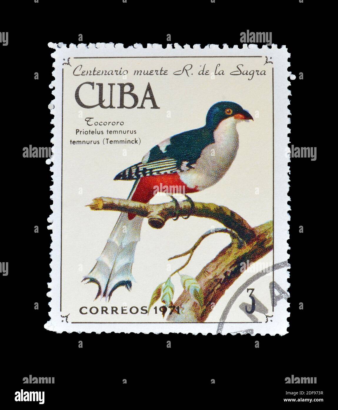 Cancelled postage stamp printed by Cuba, that shows Cuban Trogon (Priotelus temnurus), circa 1971. Stock Photo