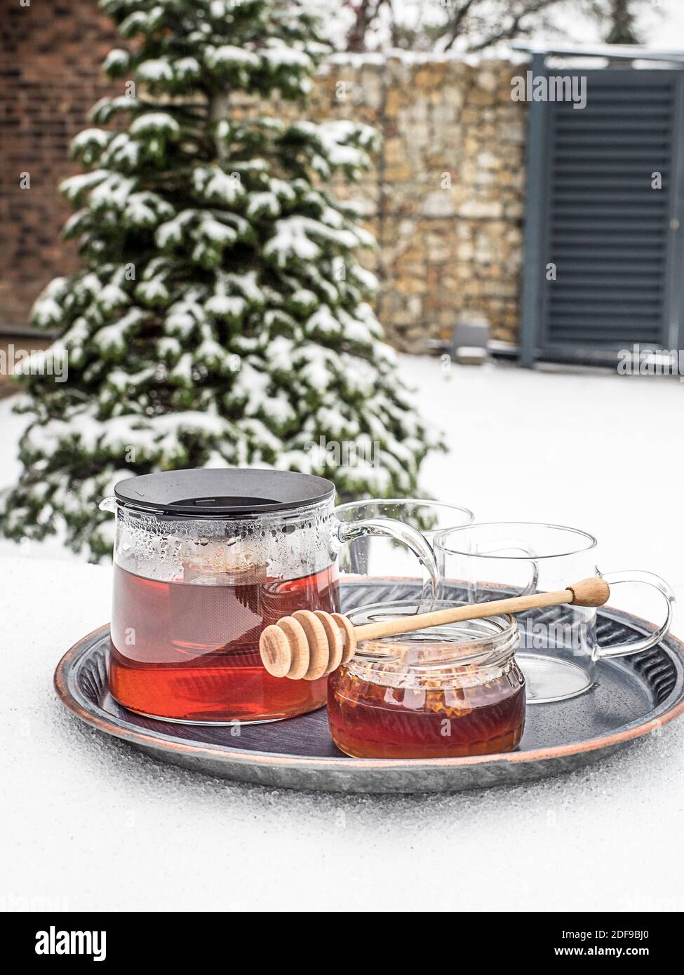 Glass kettle of hot tea and jar of honey on table covered by snow. Caucasian fir on background. Close up with copy space. Stock Photo