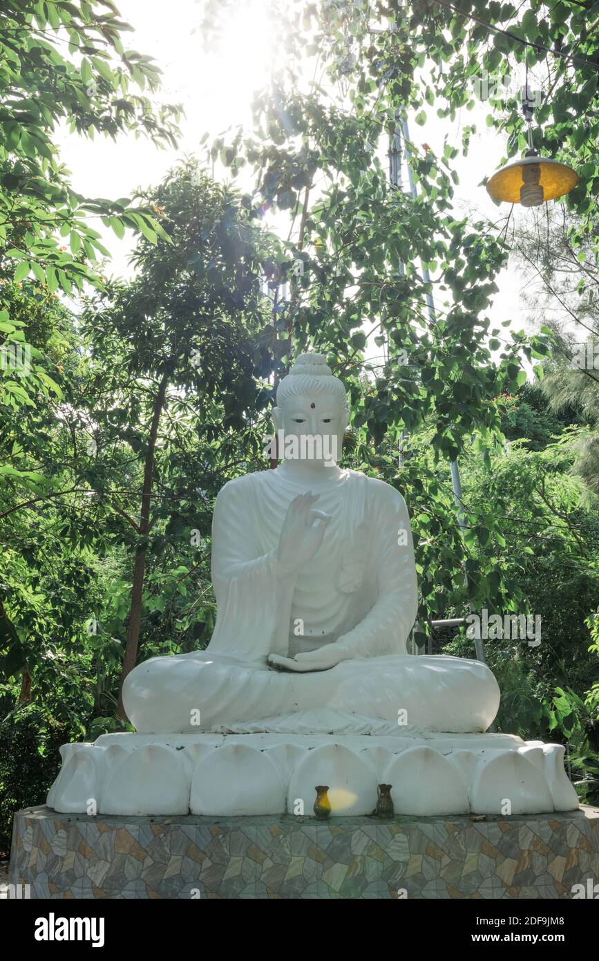 Whithe Buddha statue in the jungle Stock Photo