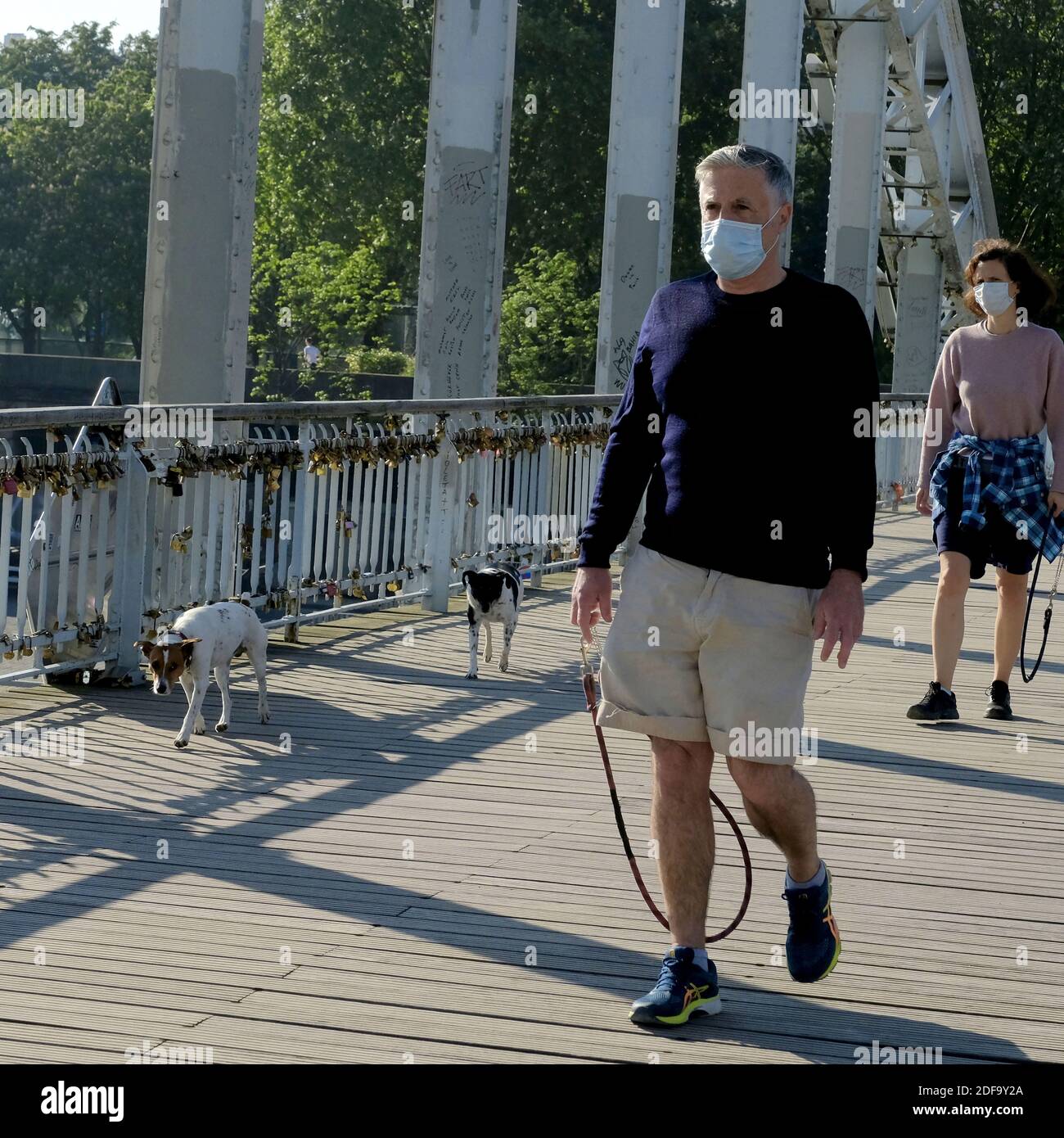 Are Dogs Allowed In The Range Stores