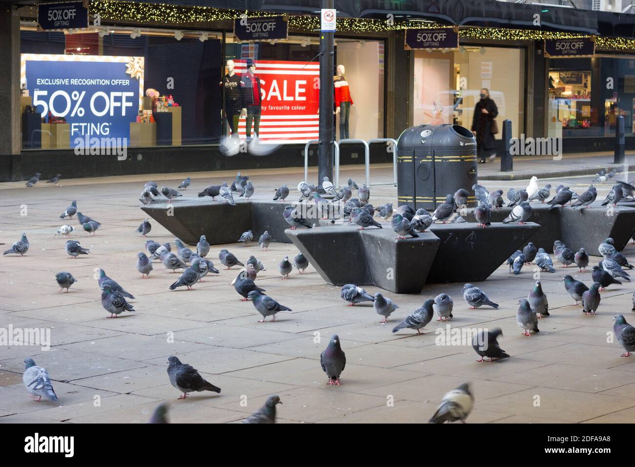 many Pigeons occupied pavement outside House of Fraser  store displaying huge sale sign of half price off at black friday deals, London, UK Stock Photo