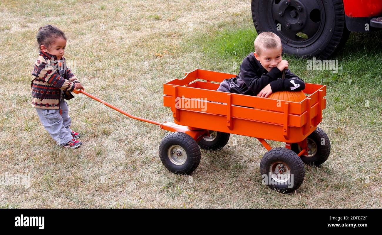 A tiny little girl trying to pull her brother in a wagon Stock Photo ...
