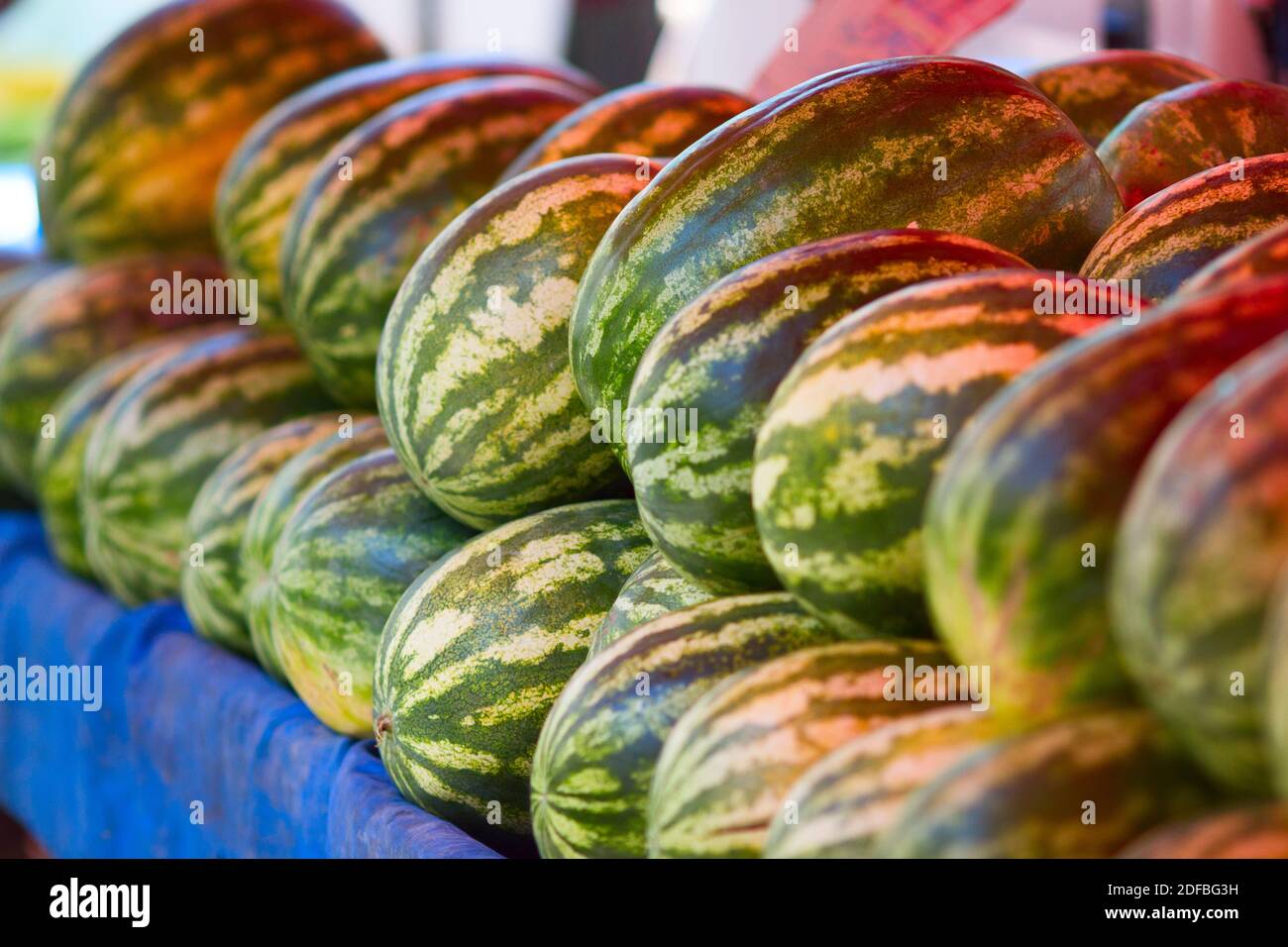 ISTANBUL,TURKEY-JUNE 7:Guys slicing watermelon to sell at their