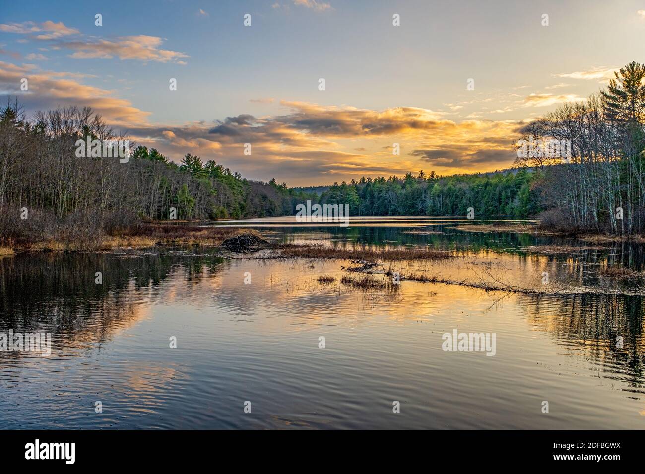 Templeton Lodge High Resolution Stock Photography and Images Alamy