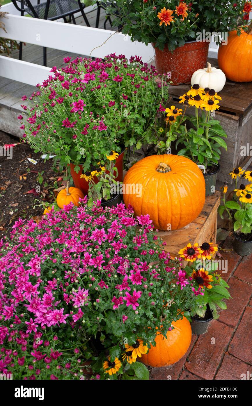 The Kitchen Garden in Templeton, Massachusetts has a fine selection of farm fresh vegetables Stock Photo