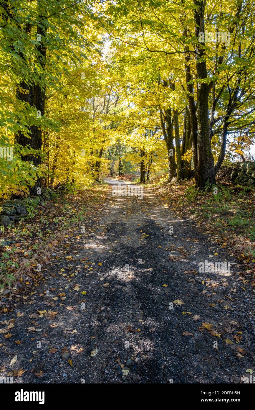 A country road in Phillipston, Massachusetts Stock Photo