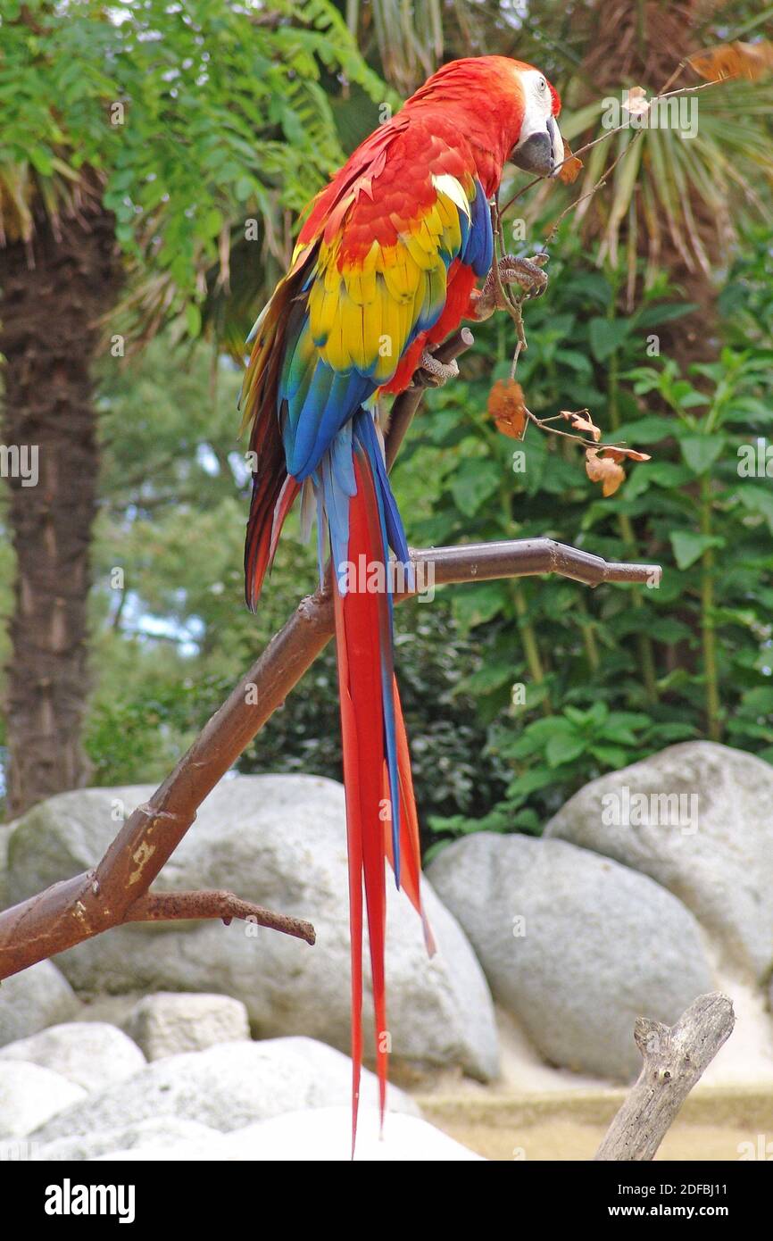 le zoo de paris
