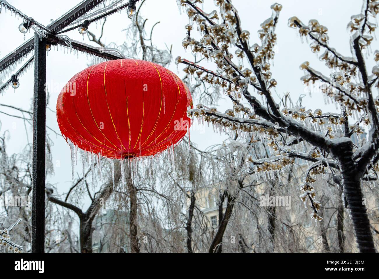 Chinese lantern bulbs sale