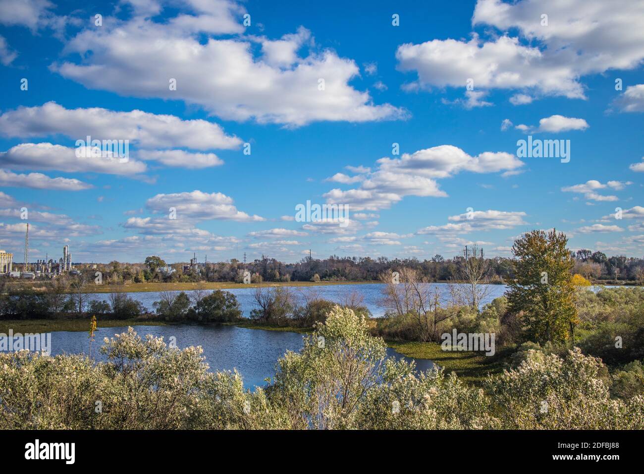 Swamp and an industrial plant in the distance with blue skies Stock Photo