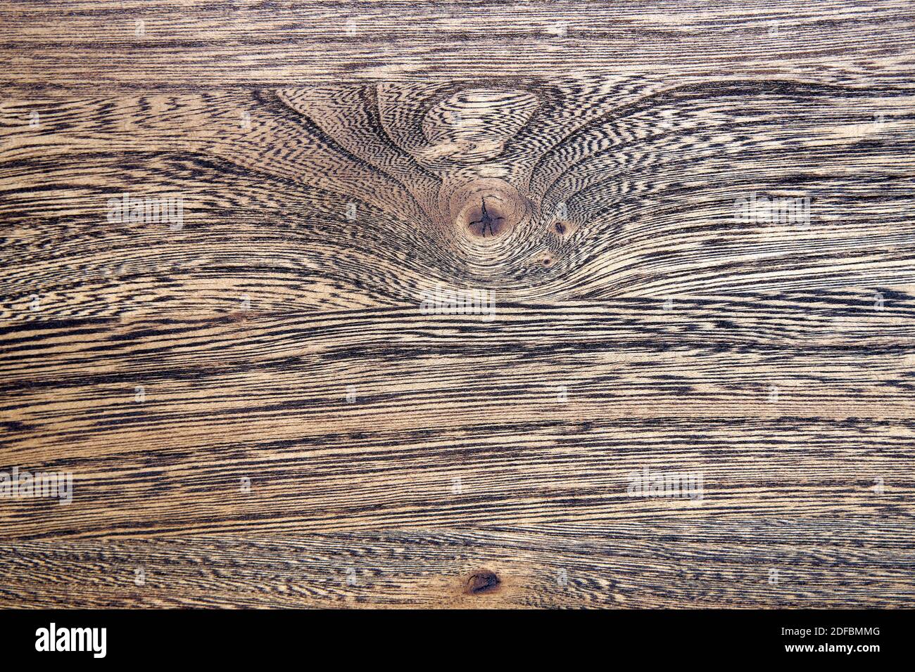 Wood texture. Elm wood texture. Elm wood edge glued panel close-up Stock Photo