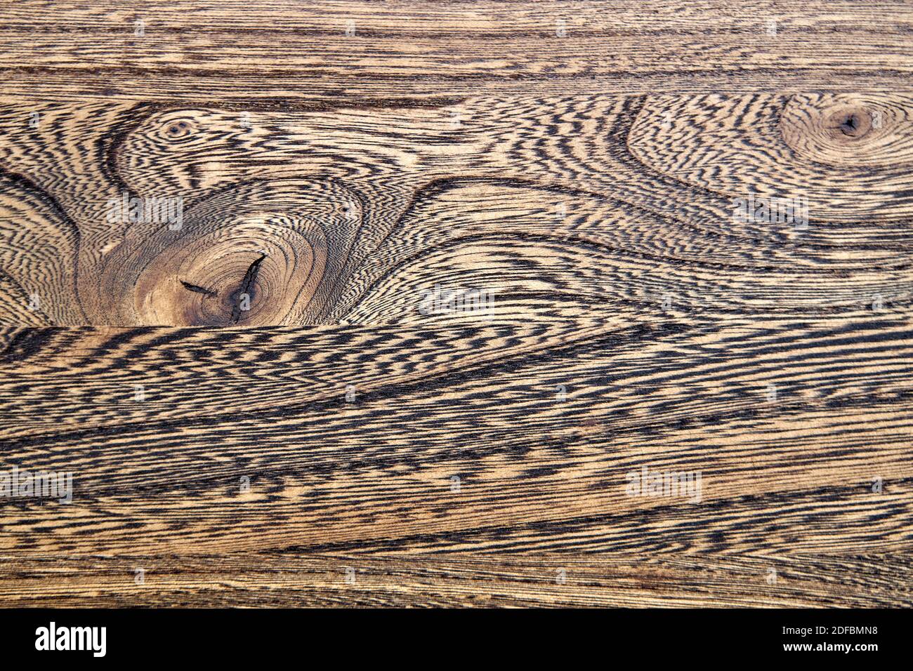 Wood texture. Elm wood texture. Elm wood edge glued panel closeup