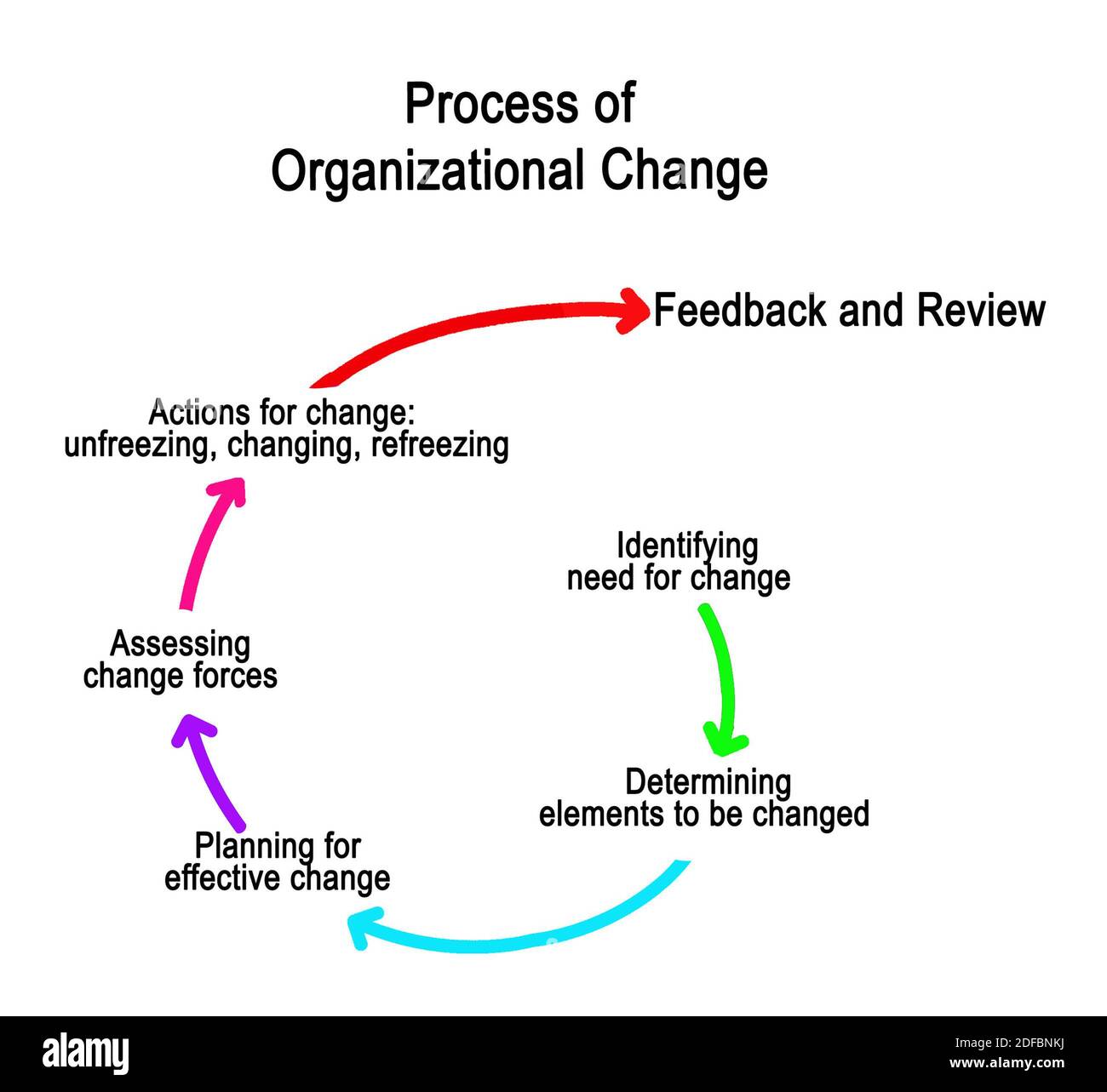 Organization Process