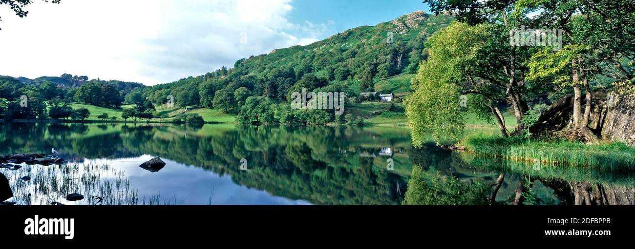 The still, peceful and beautiful Loughrigg Tarn  in early morning in the Lake District Stock Photo