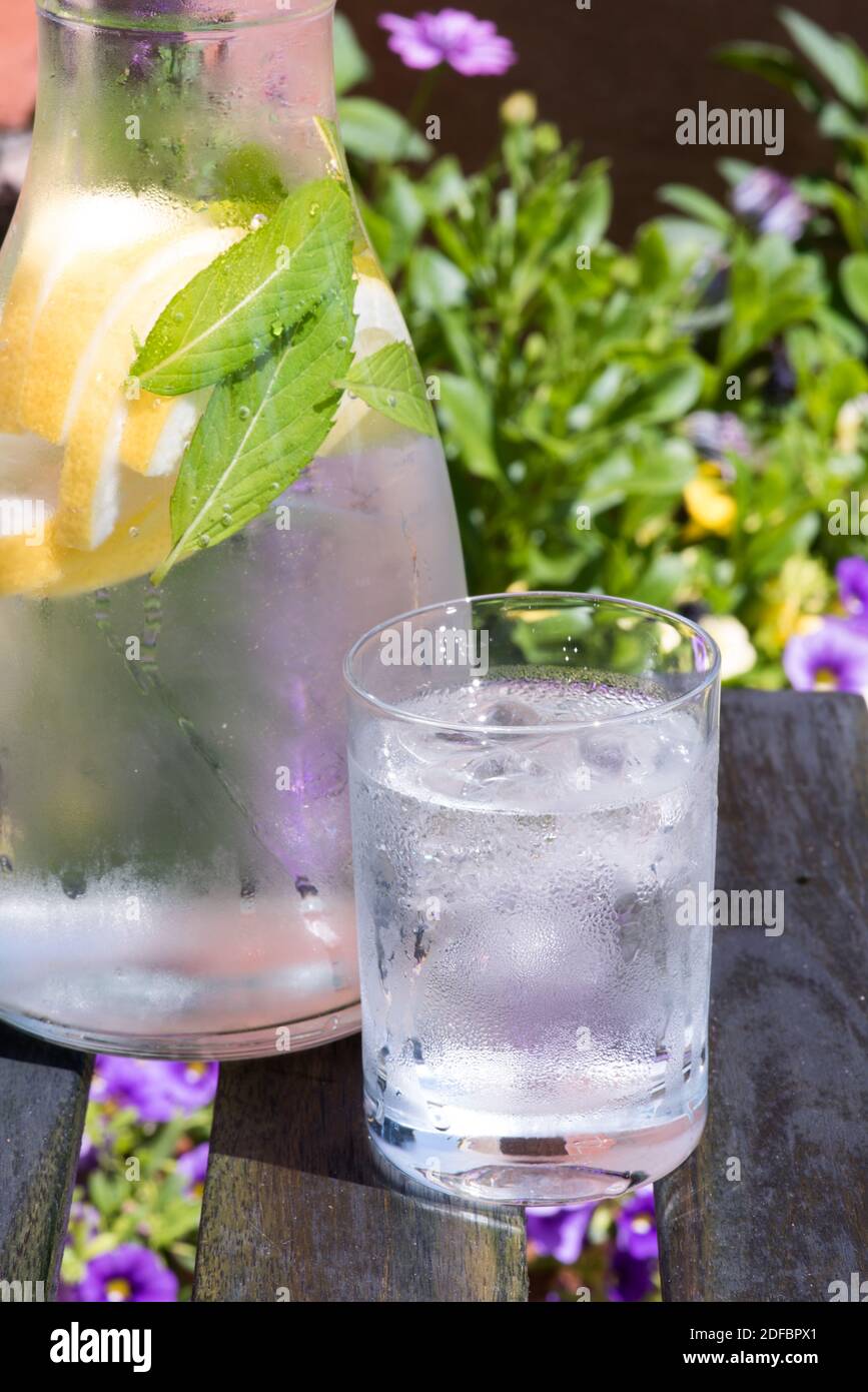 Close-up of carafe and glass of summer fresh lemonade with mint in flower garden Stock Photo