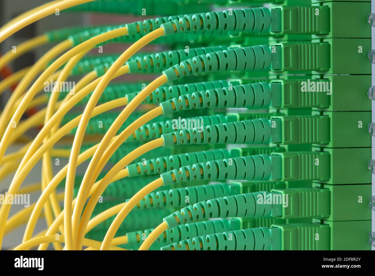 Passive optical network distribution panel with patch cord cables close