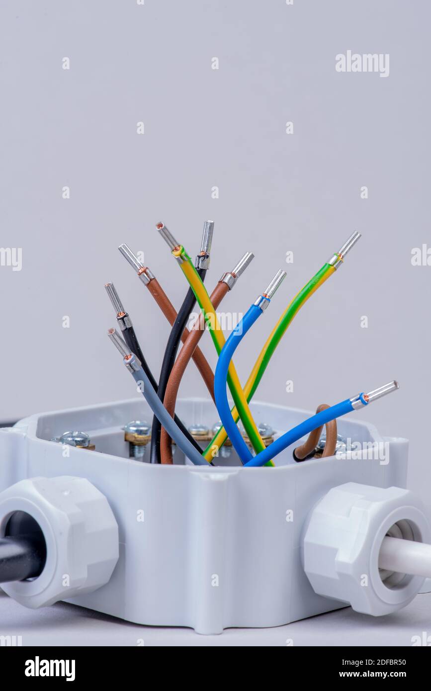 Electrical junction box with cables closeup Stock Photo Alamy