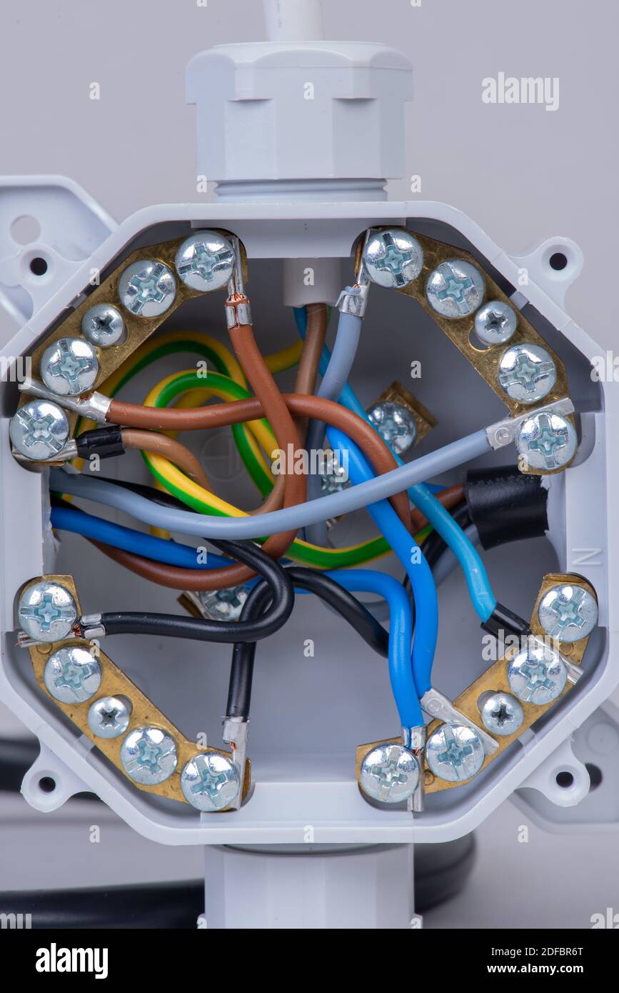 Plastic electrical box used in the electric installation process Stock