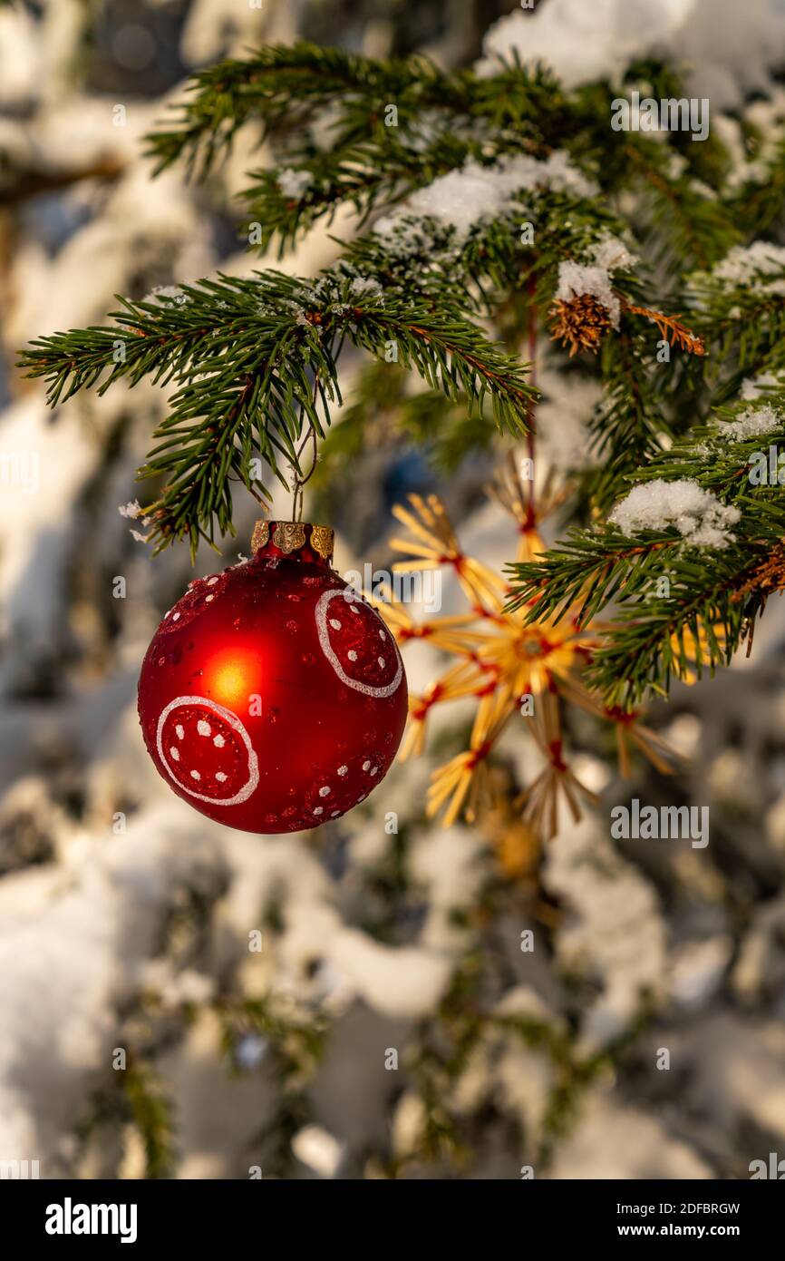 Weihnachten, Christbaumschmuck am Tannenbaum im frisch verschneiten Wald. Rote Kugel und Strohstern. Christmas Decoration in the snowy forest. straw Stock Photo