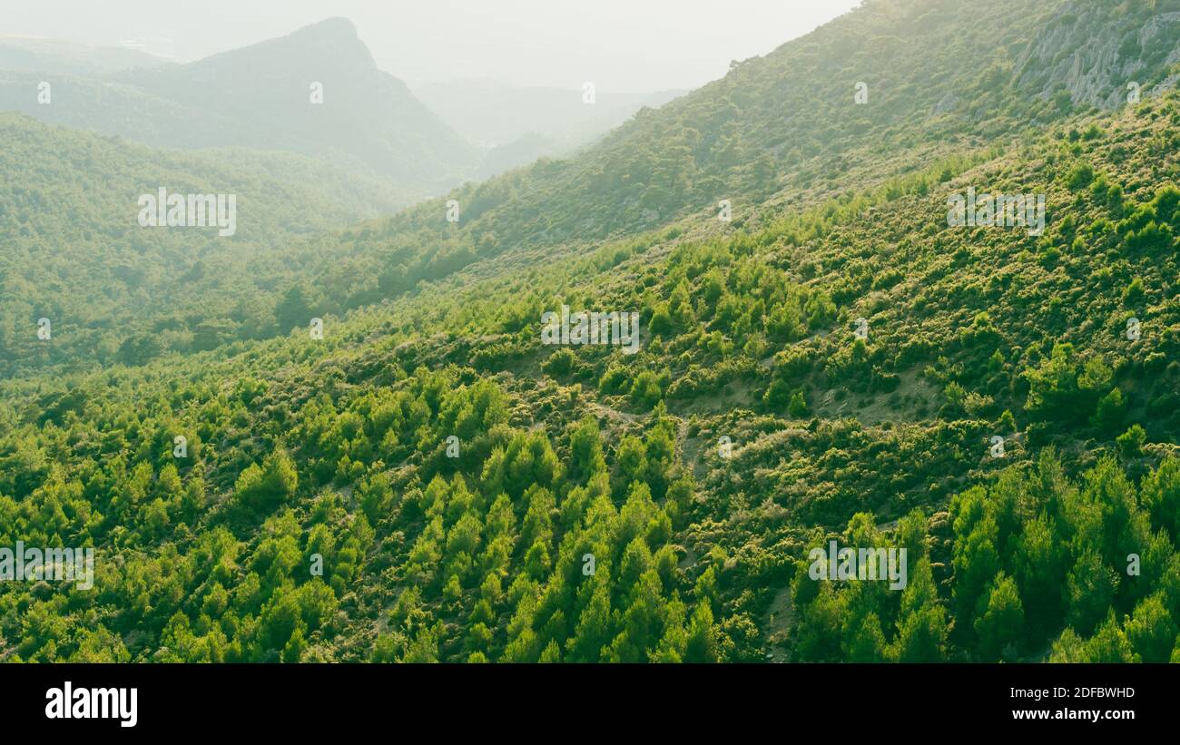 Green hills and field landscape at sunset. Nature background with foggy sky. Aerial view of mountain peak Stock Photo