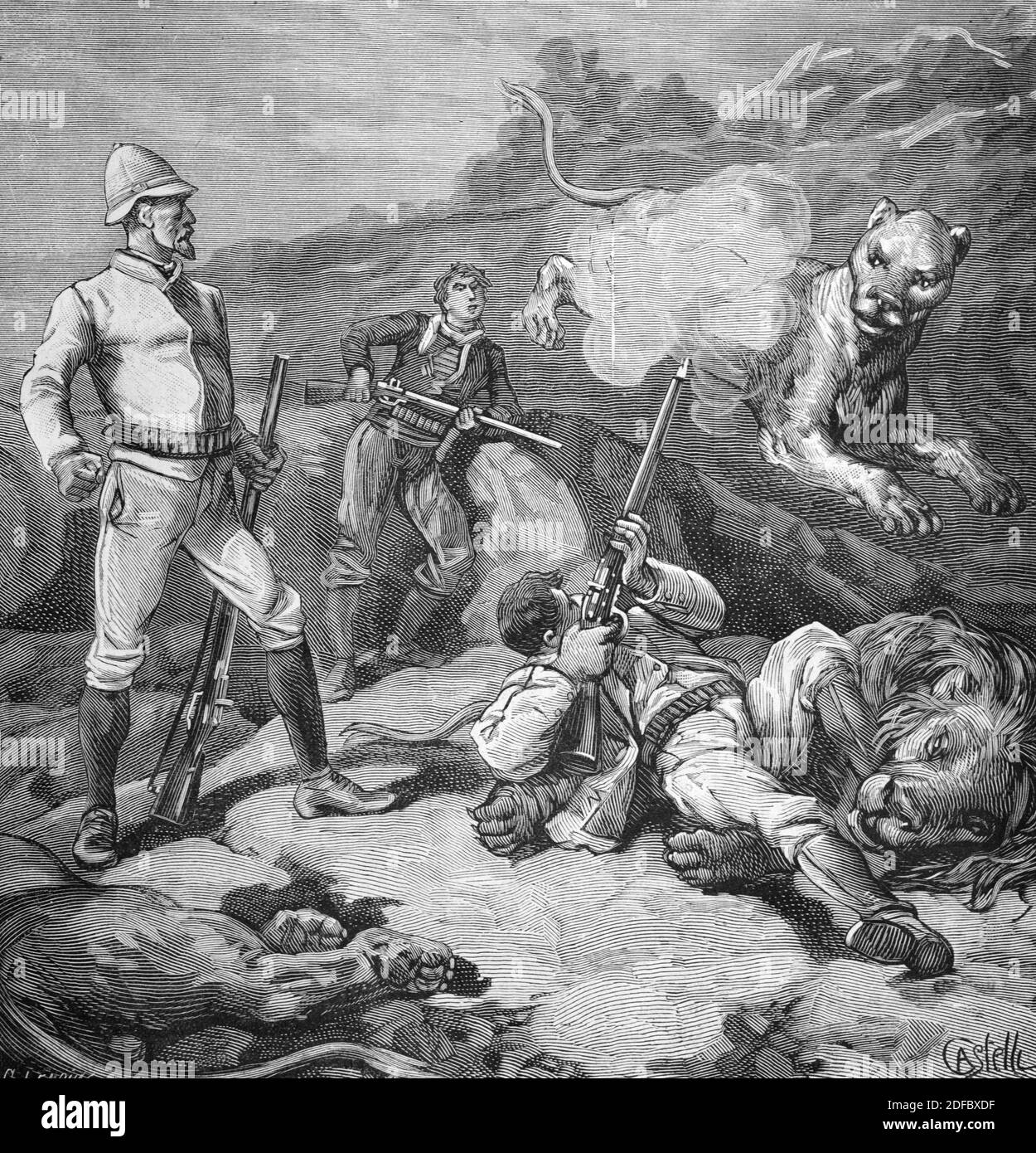 Big Game Hunters, Colonial Hunters or Lion Hunters on Lion Hunt in Africa  (Engr Castelli 1884) Vintage Illustration or Engraving Stock Photo - Alamy, image size:1250x1390