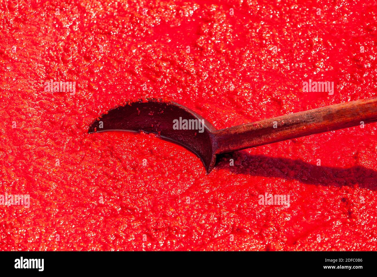 Capia pepper paste drying in the sun Stock Photo