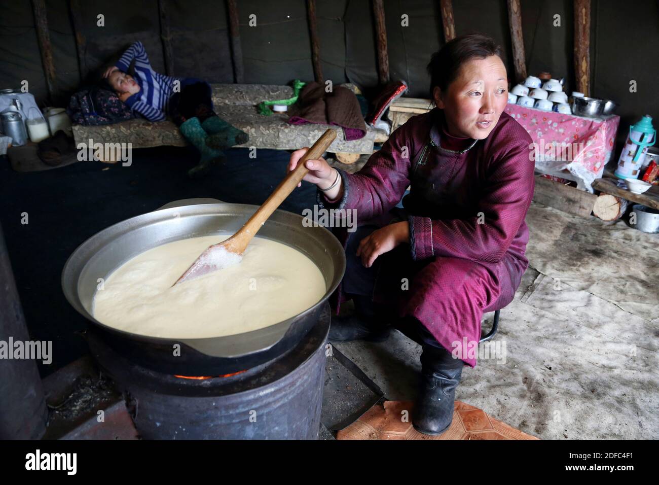 Mongolia, people living with reindeer, tsaatan preparing milk for cheese Stock Photo