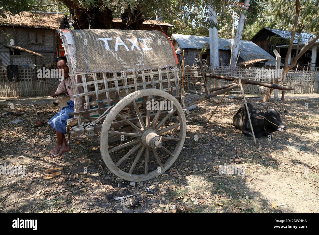 Myanmar (Burma), local funny traditional taxi driver with cart in Bagan ...