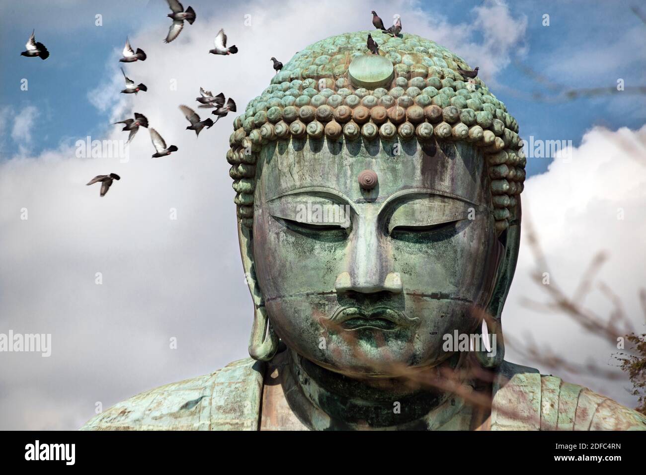 Japan, tokuin Big Buddha in Kamakura Stock Photo Alamy
