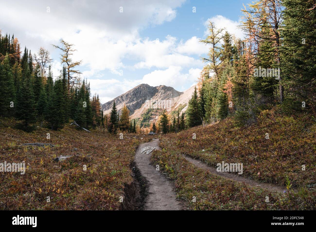 Hiking trail with Rocky Mountains in autumn forest at provincial park