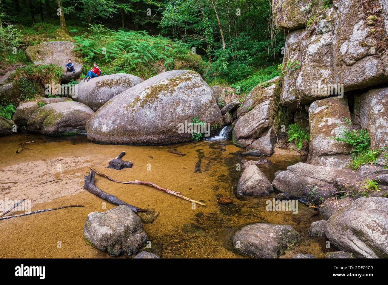 France, Finistere, Armorica Regional Nature Park, Stock Photo